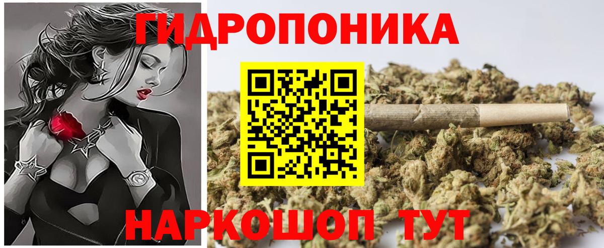 Сертолово  Шишки марихуана Bruce Banner  Вход с VPN  МАРИХУАНА конопля  Каннабис конопля 